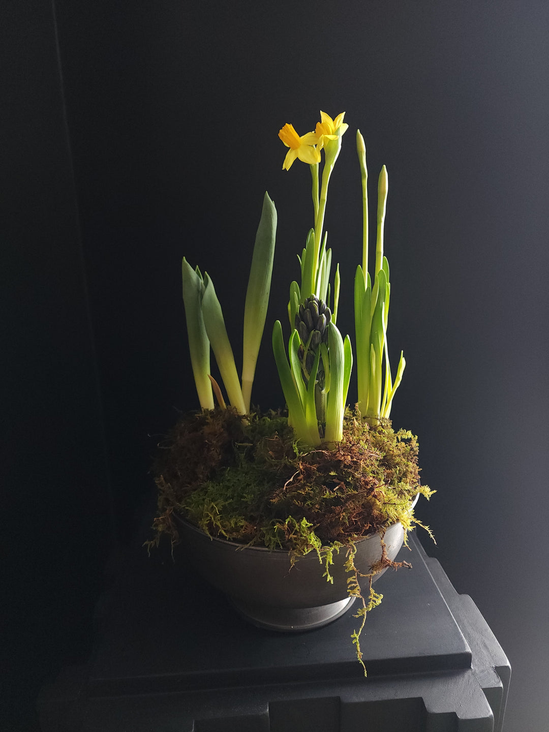 Spring bulb compote