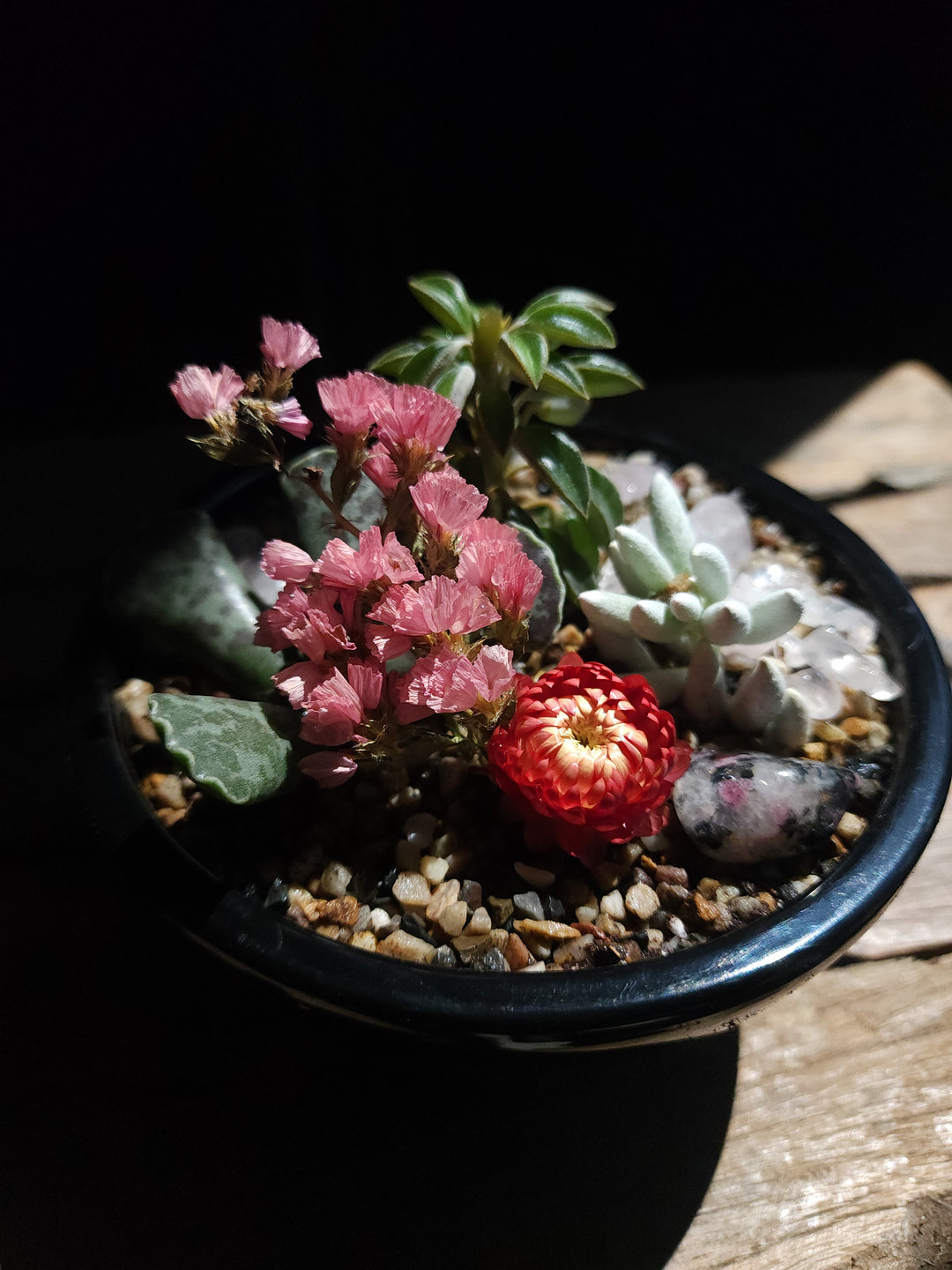 Mother's Day - Succulent Dish Garden