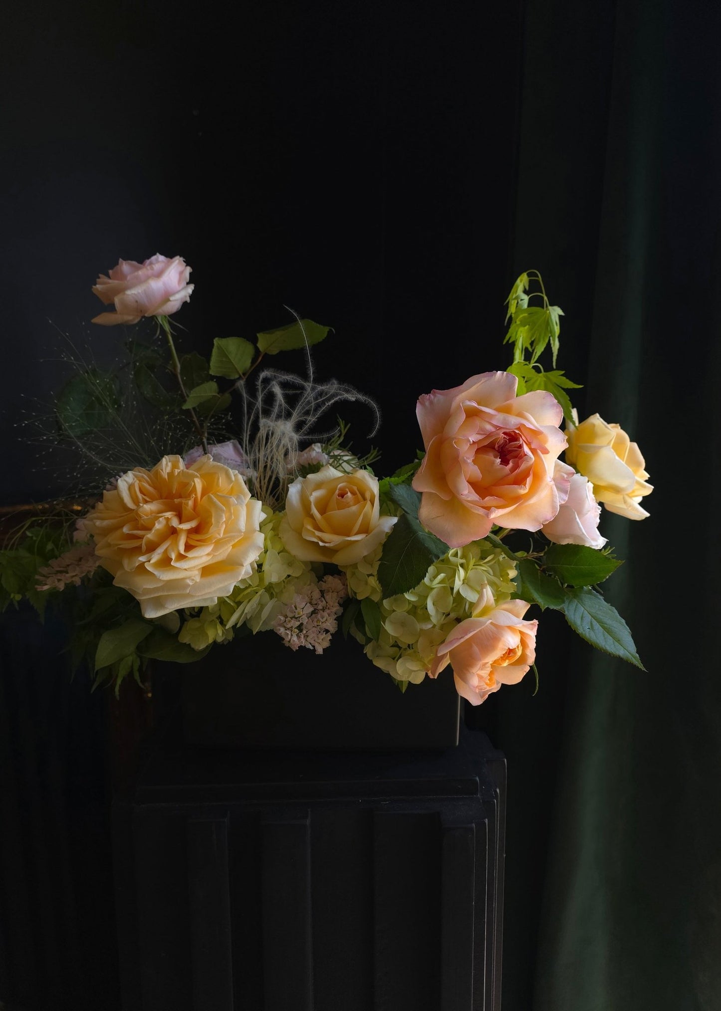Garden Rose Study - Grow & Bloom Co.