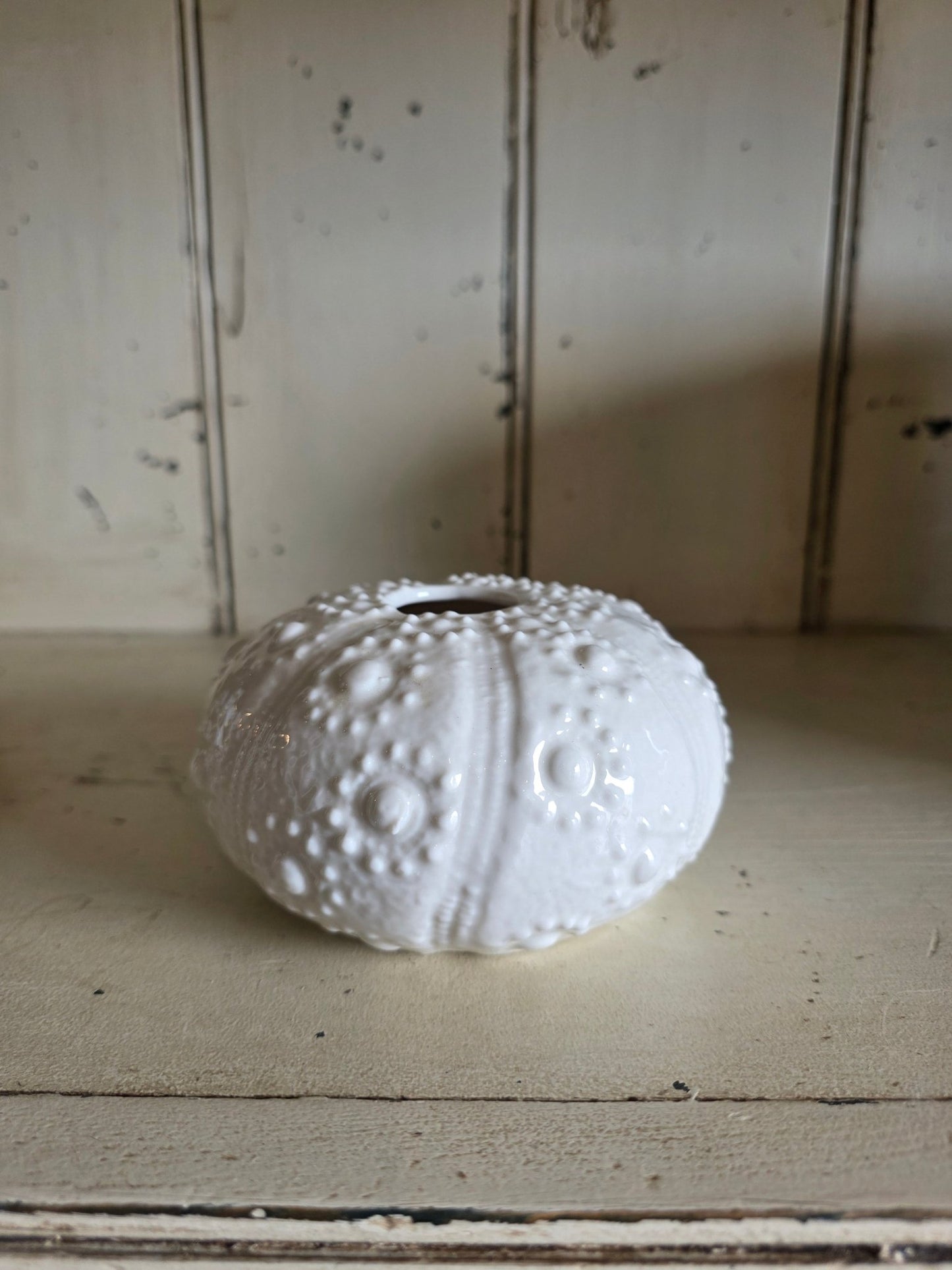 Low Urchin Budvase - Grow & Bloom Co.