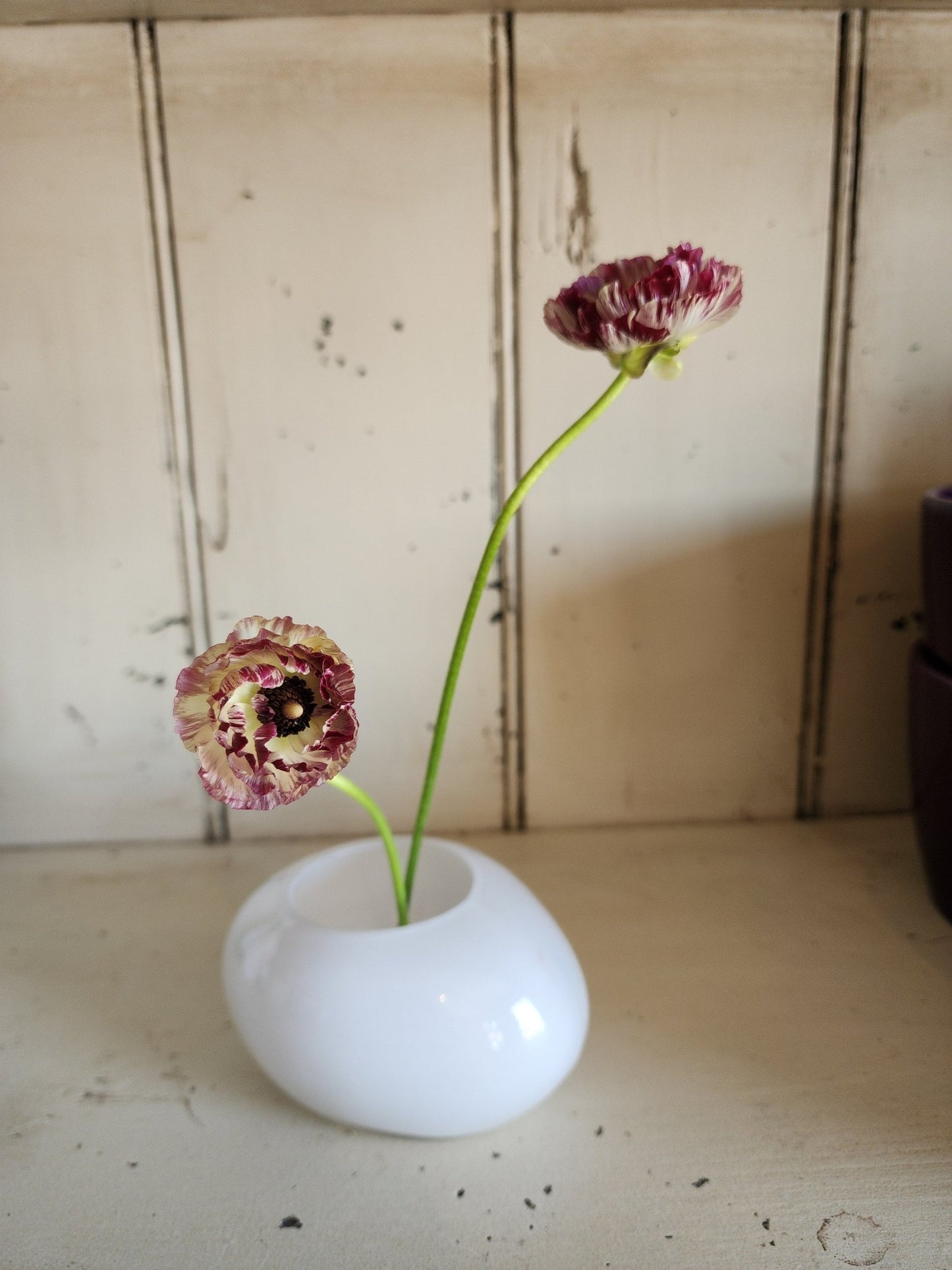 Milk Rock Vase - Grow & Bloom Co.