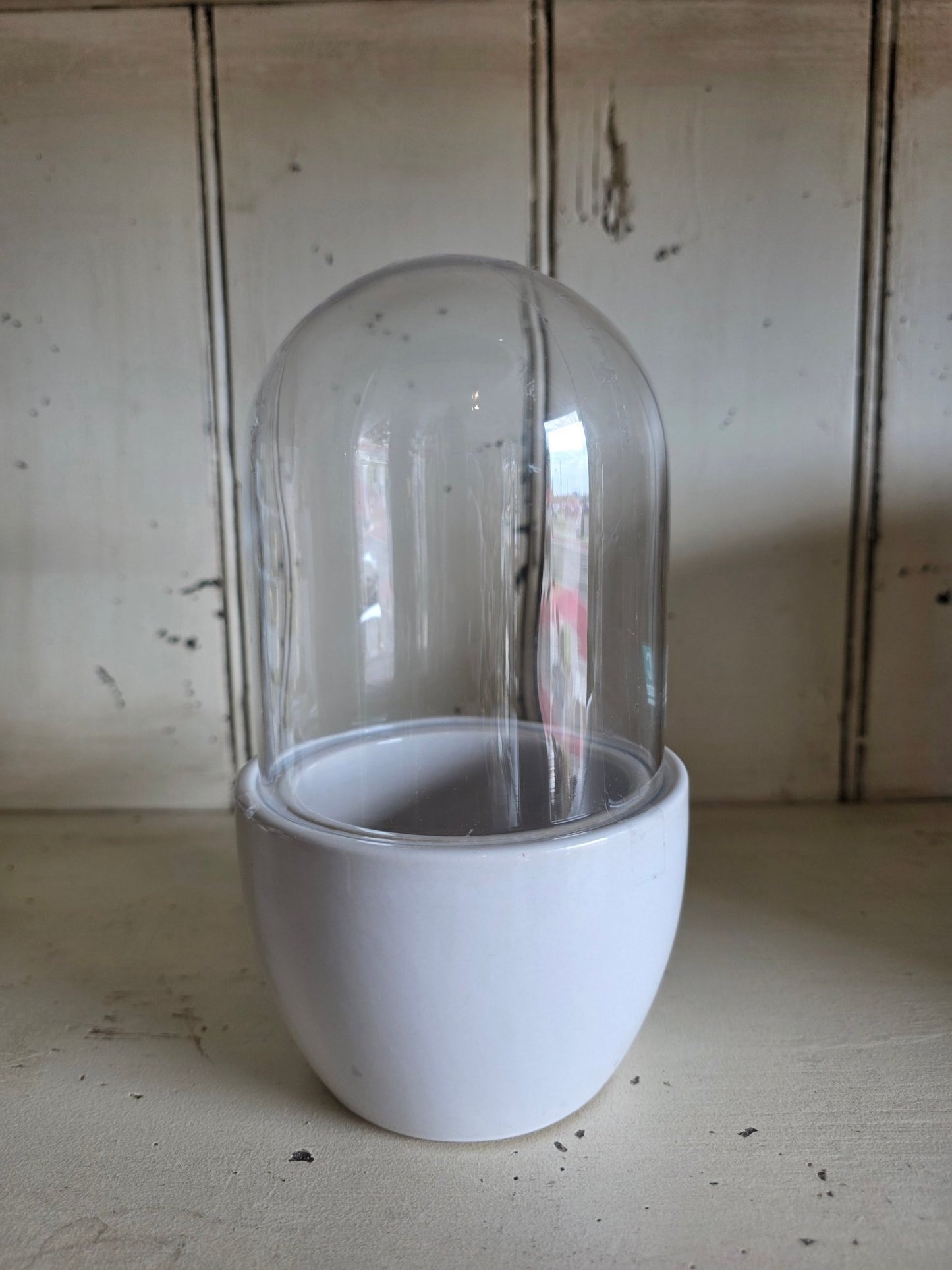 Mini Pill Terrarium 3" White - Grow & Bloom Co.