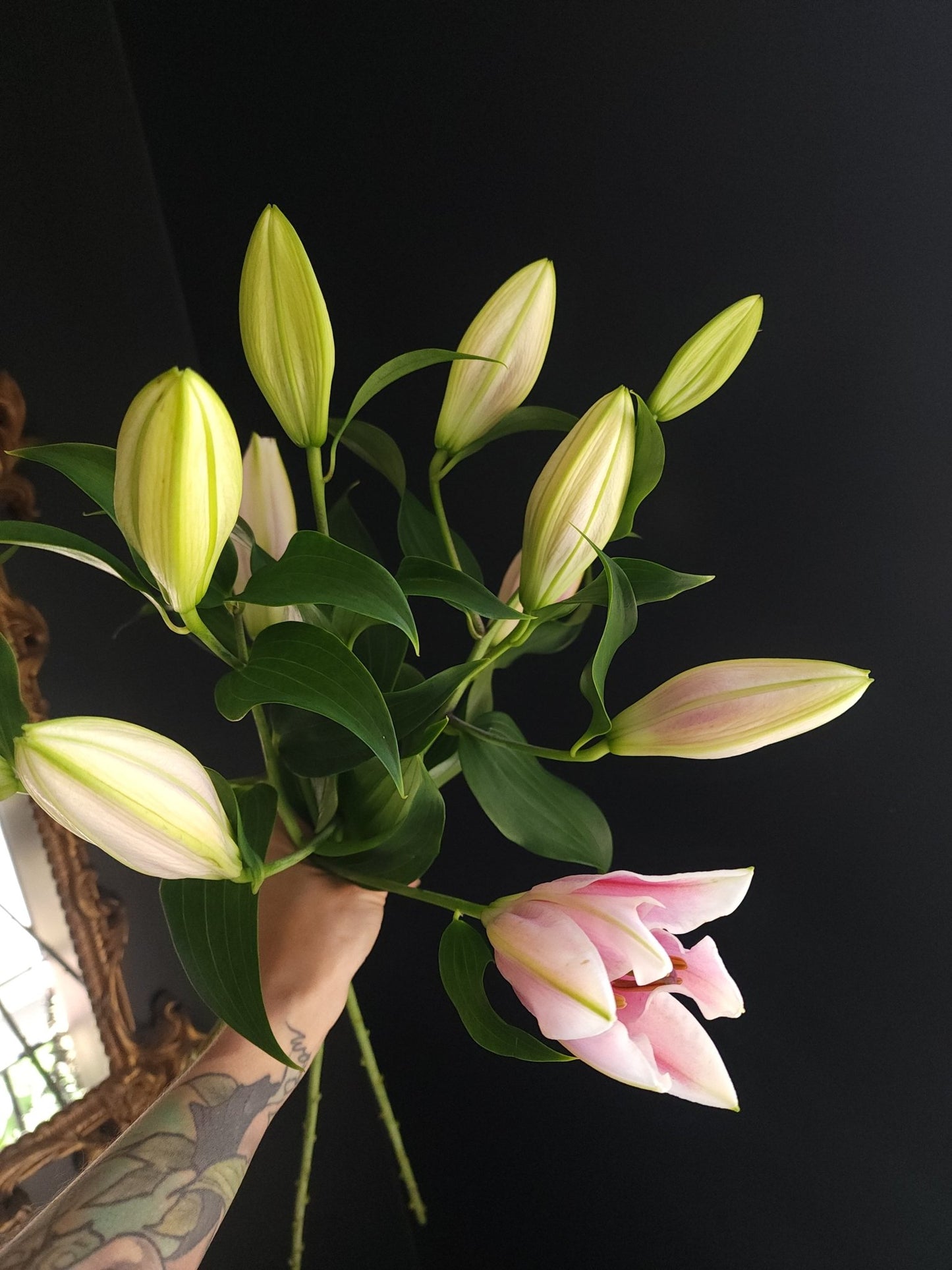 Pre - Order - Mothers Day - 3 Stem Oriental Lily Bundle - Grow & Bloom Co.