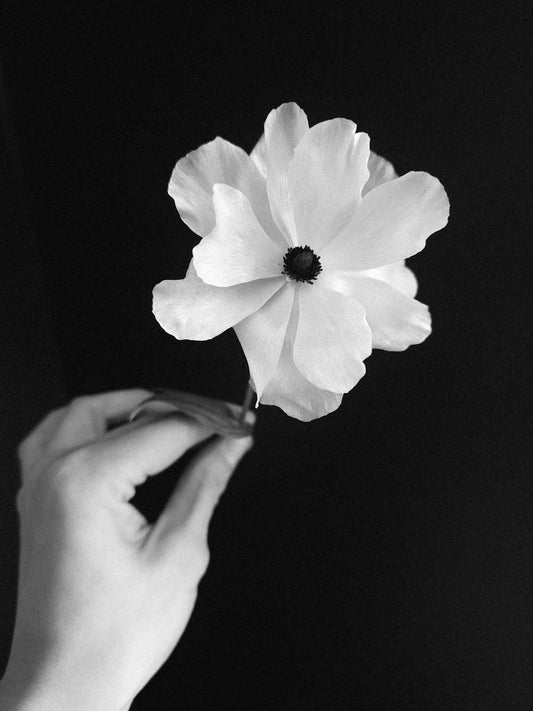 How to make cut flowers last - Grow & Bloom Co.