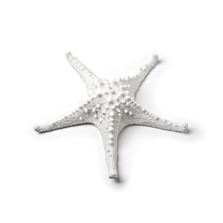 Medium 3D Starfish