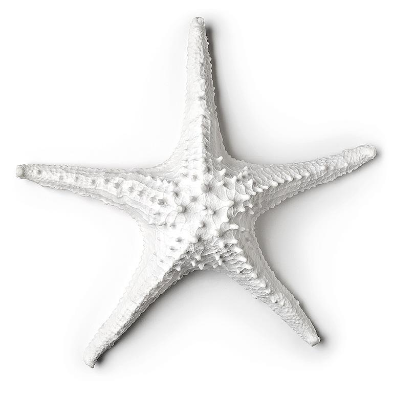 Large 3D Starfish