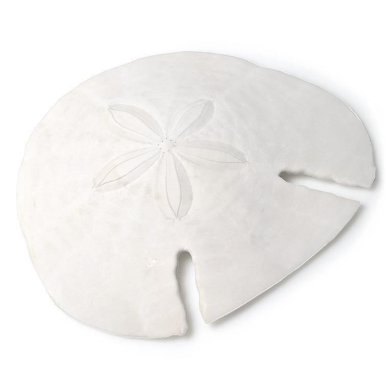Sand Dollar
