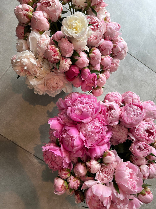 5 Stem Local Peony Bunch - Grow & Bloom Co.