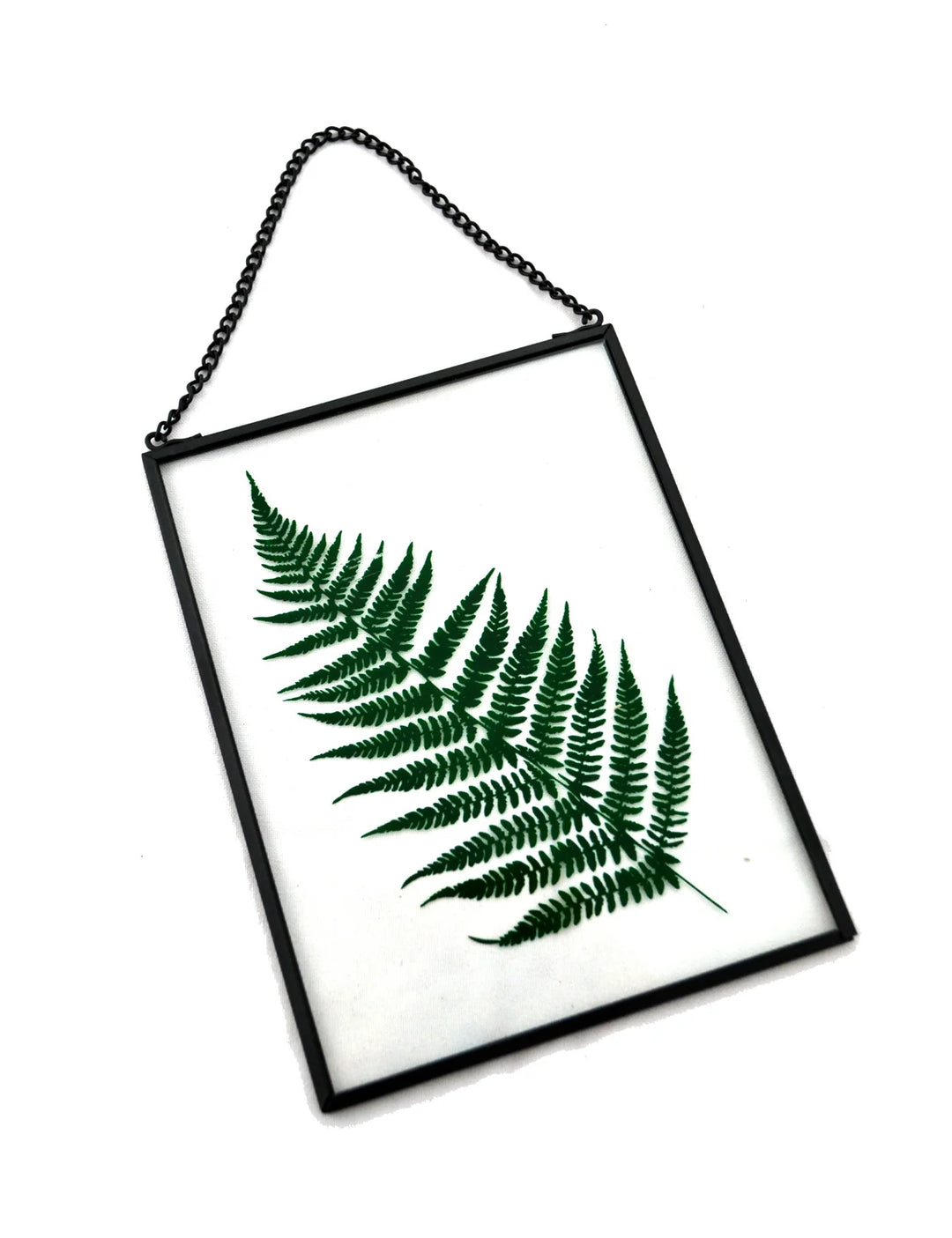 Hanging Glass Frame with Fern - Black