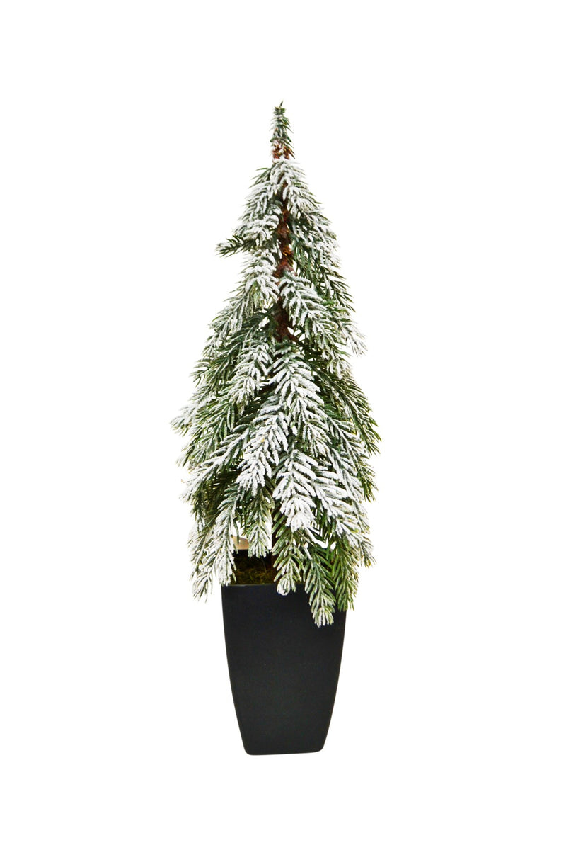 Tall Faux Fir Tree in Black Pot