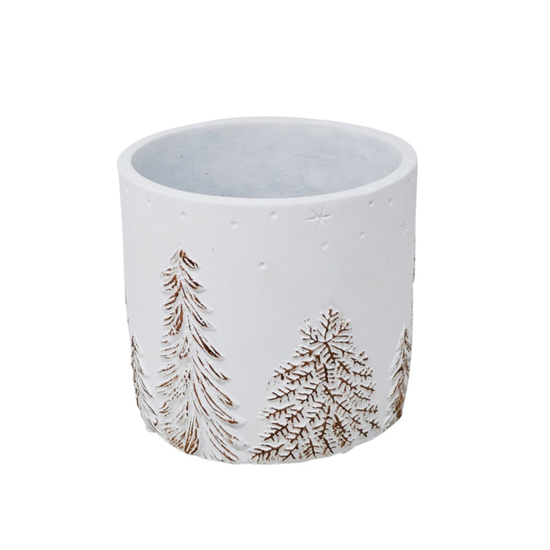 Conifer Pot