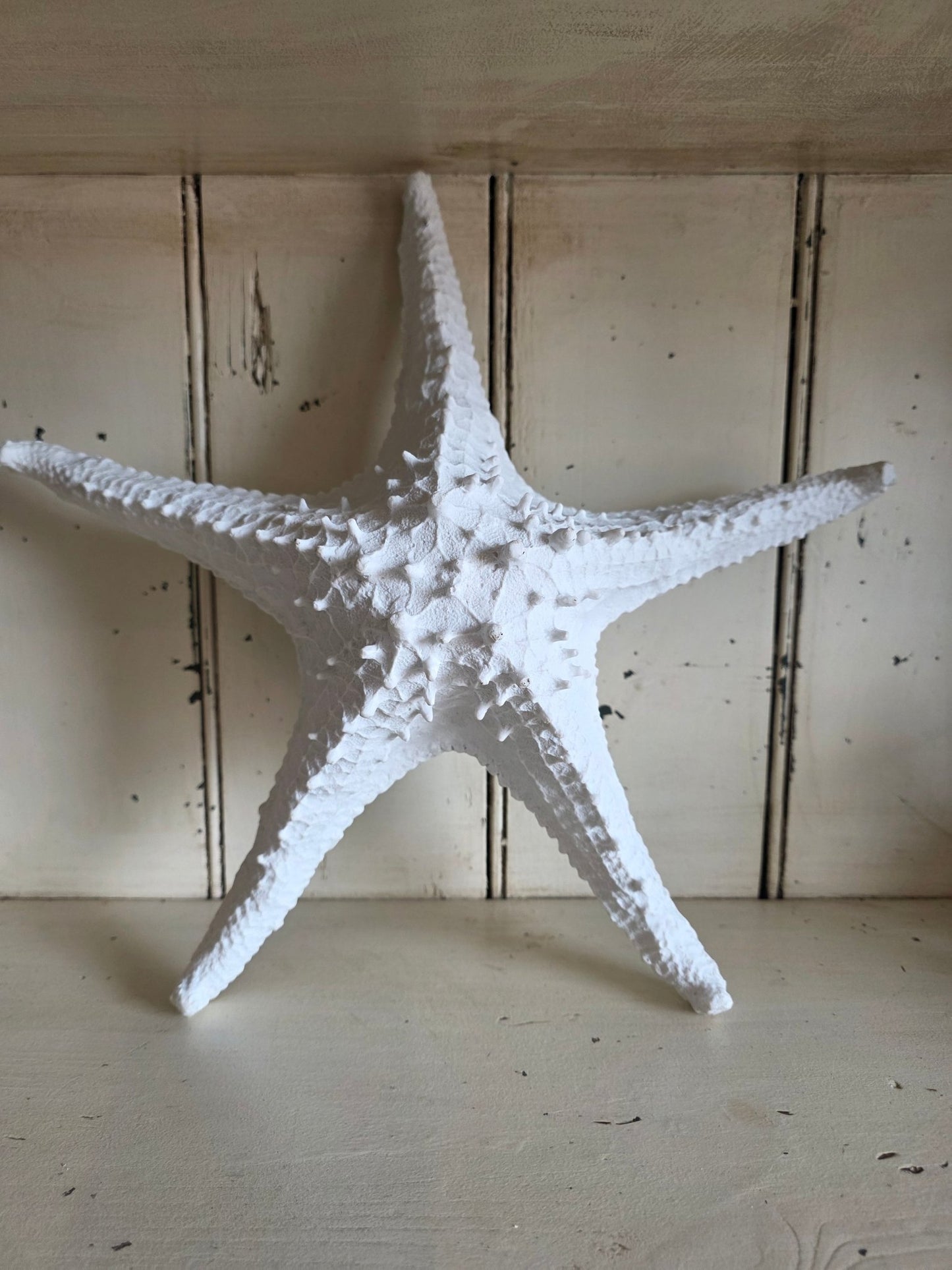Decorative Resin Starfish - Grow & Bloom Co.