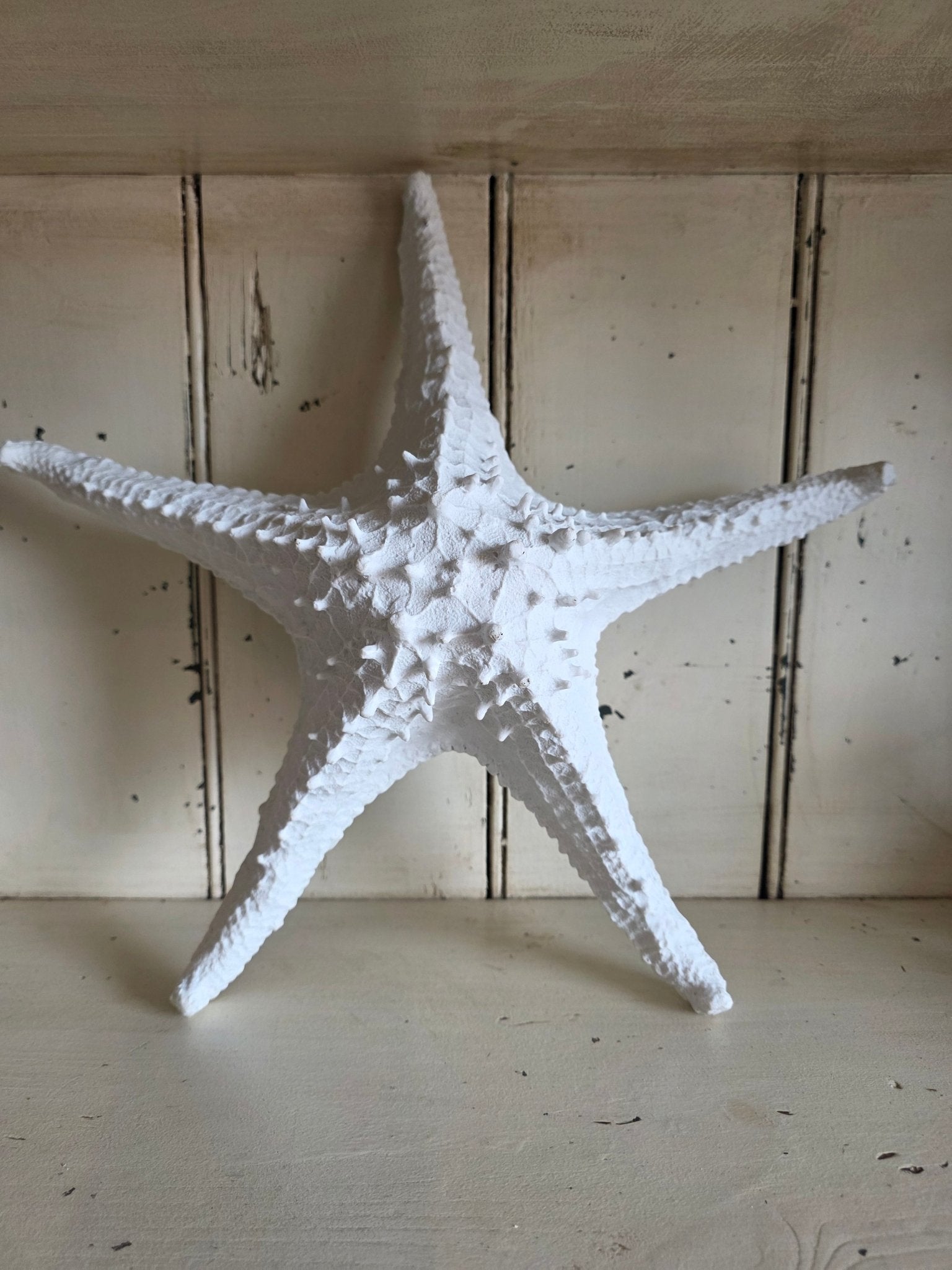 Decorative Resin Starfish - Grow & Bloom Co.