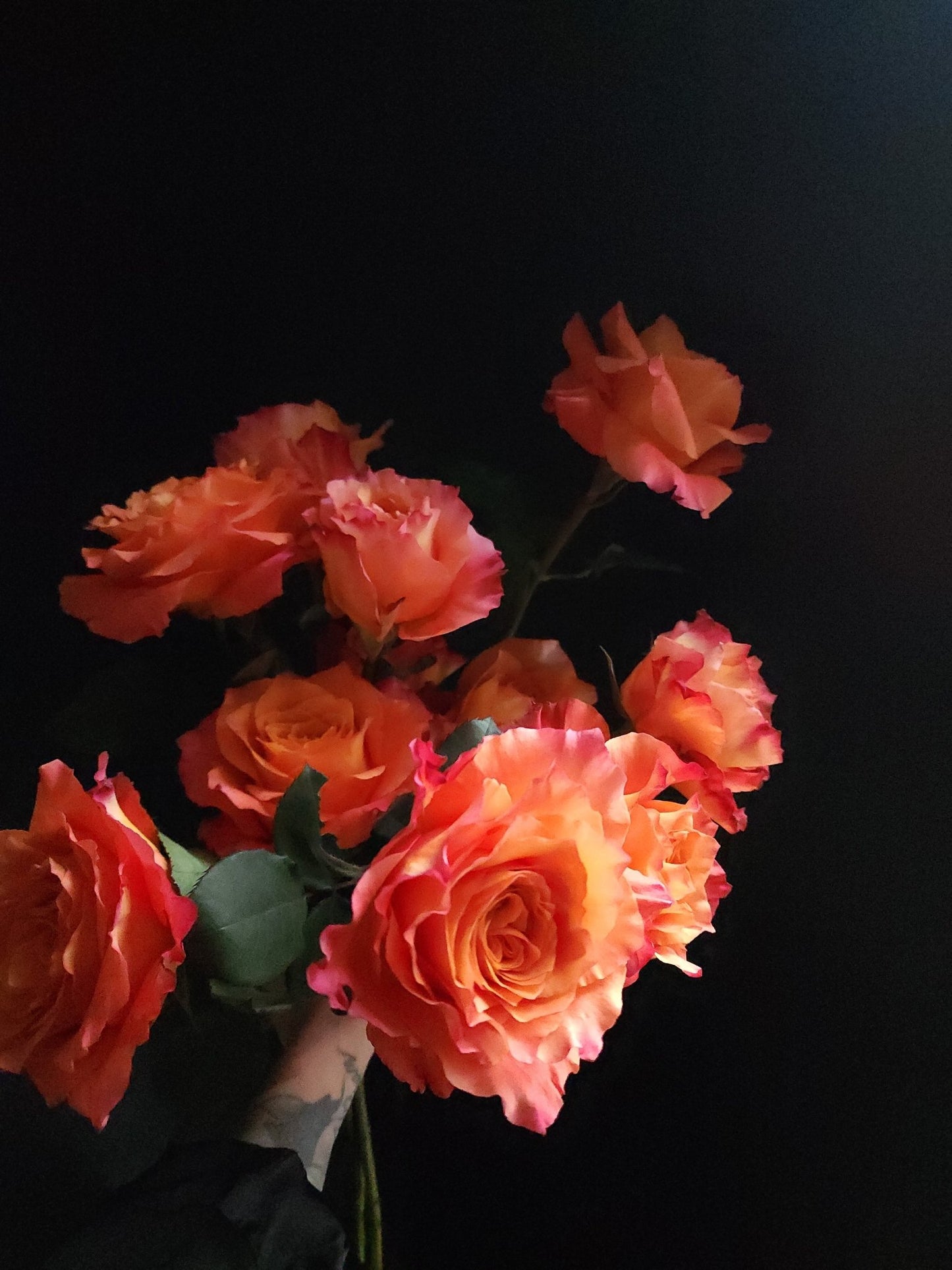 Dozen Stem Rose Bouquet - Grow & Bloom Co.