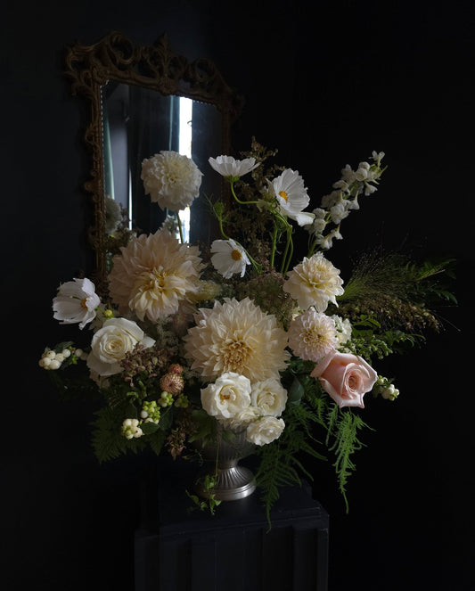 Dutch Master Study - Grow & Bloom Co.