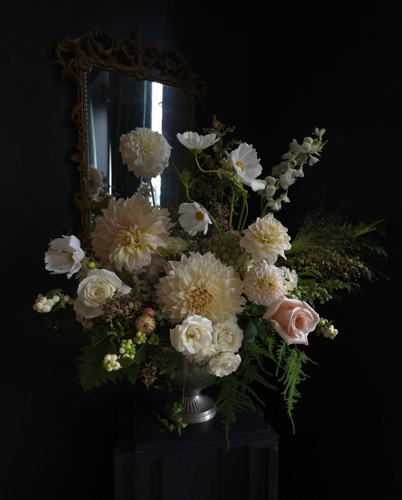 Dutch Master Study - Grow & Bloom Co.