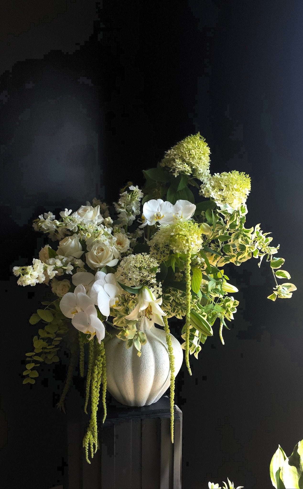 Ethereal - Grow & Bloom Co.