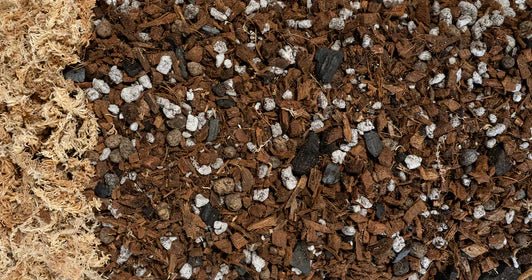 Forbidden Cereal - Soilless Houseplant Potting Mix - Grow & Bloom Co.