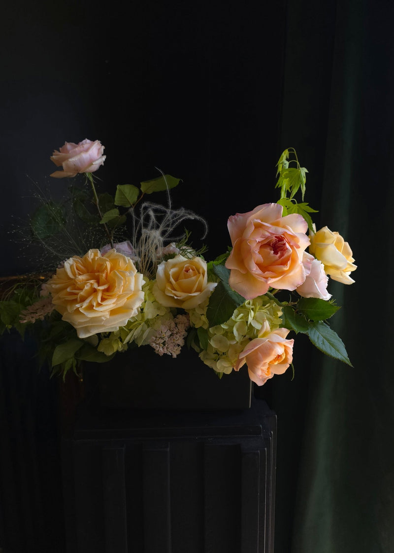 Garden Rose Study - Grow & Bloom Co.