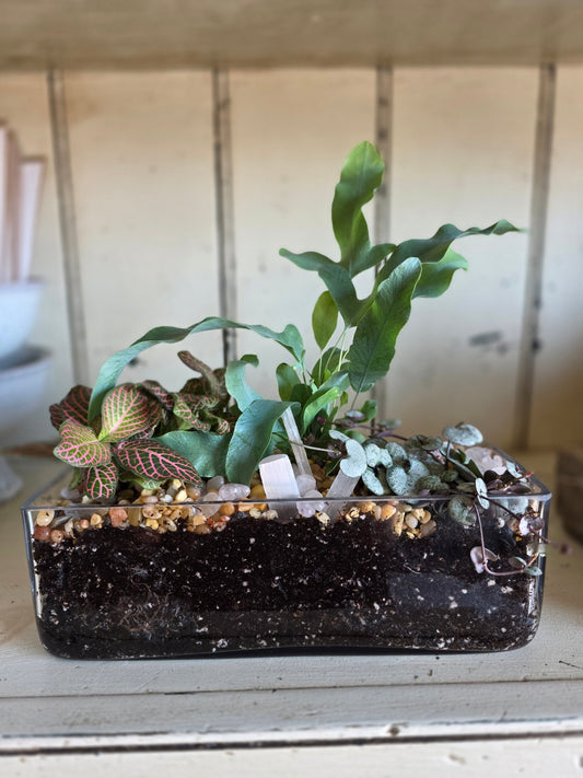 Glass Plant Garden - Grow & Bloom Co.