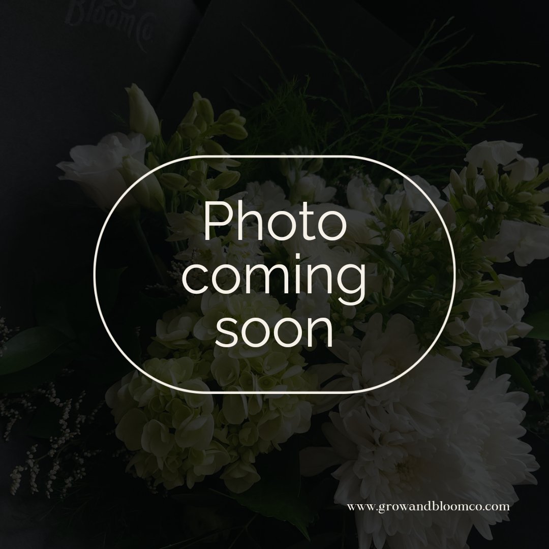 Hand - tied Bouquet Subscription - Month to Month - Grow & Bloom Co.