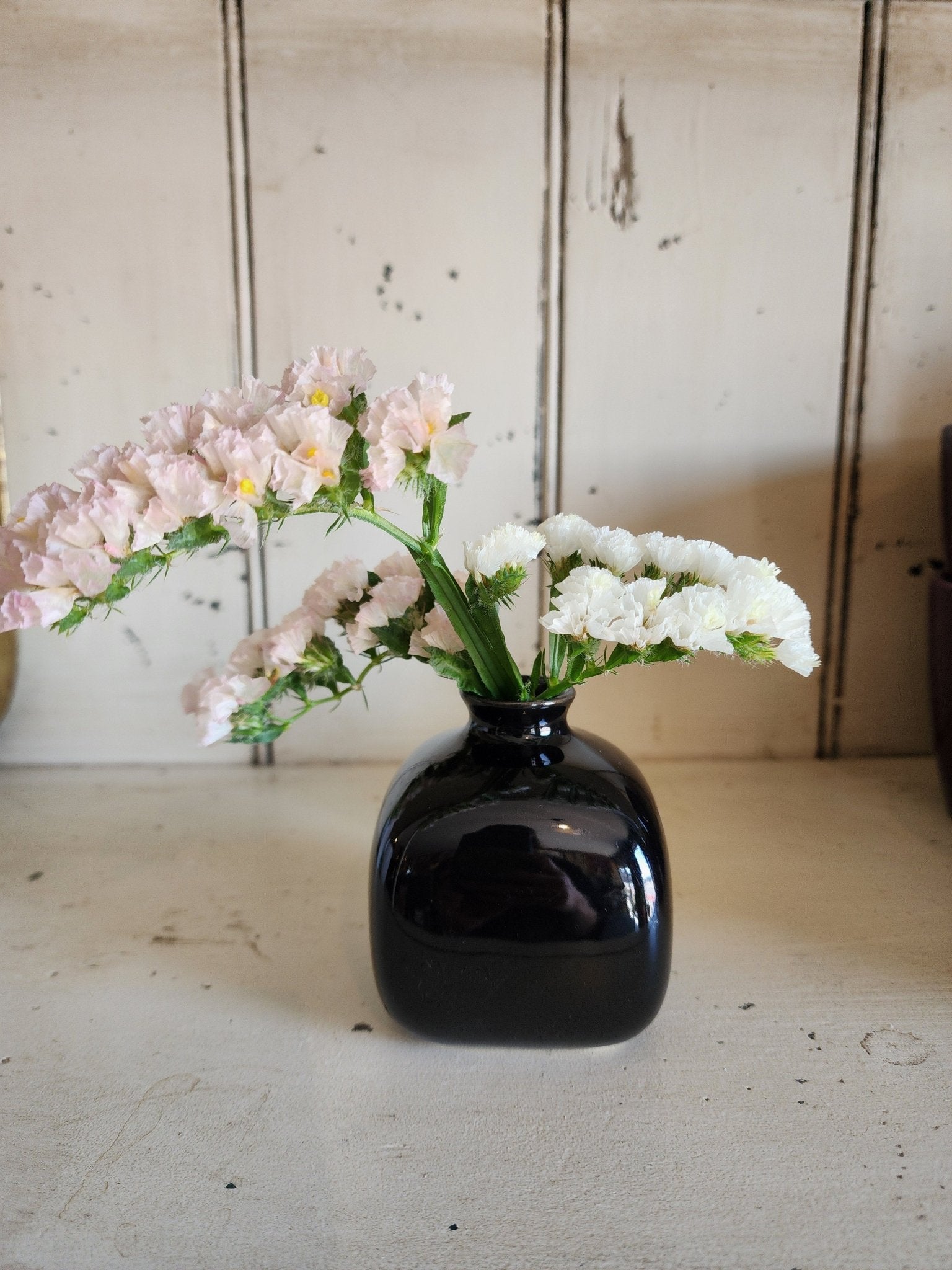 Inkwell Budvase - Grow & Bloom Co.