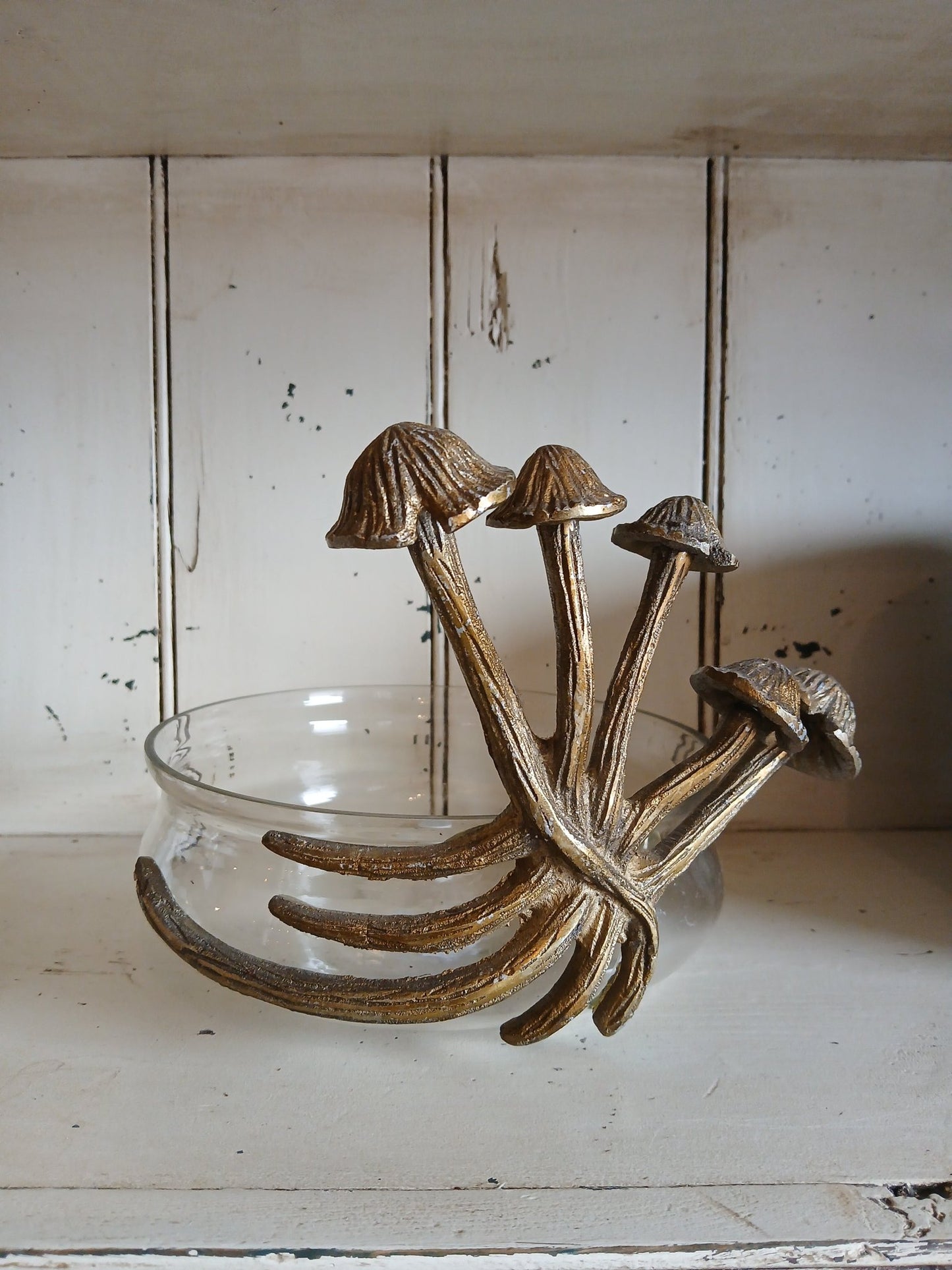 Lichen Collection Mushroom Glass Bowl - Grow & Bloom Co.