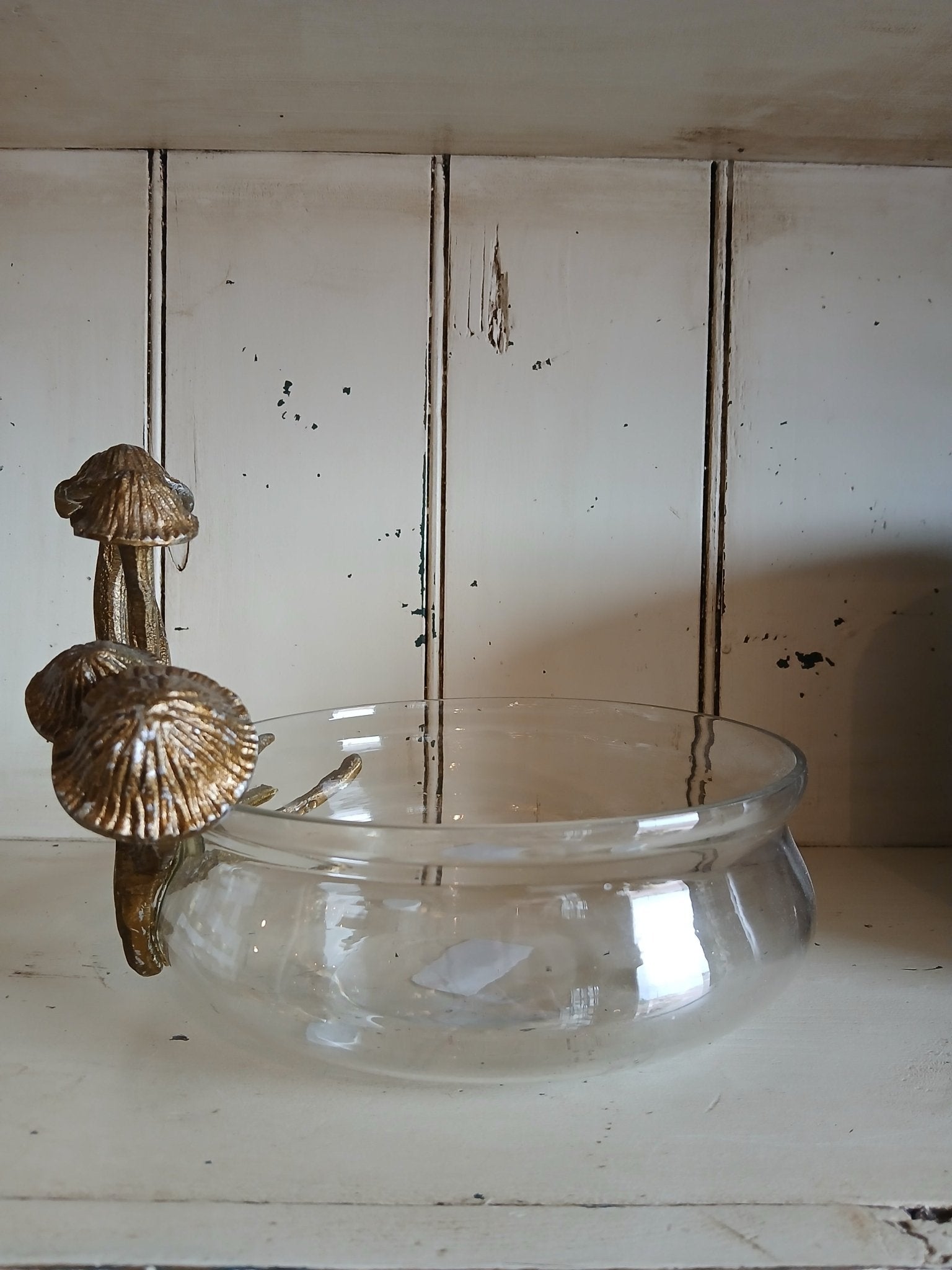 Lichen Collection Mushroom Glass Bowl - Grow & Bloom Co.
