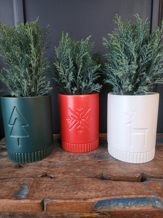 Nordic Cypress Pot - Grow & Bloom Co.