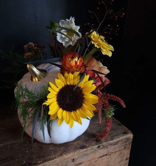 Pre - Order - Harvest Pumpkin Arrangement - Grow & Bloom Co.