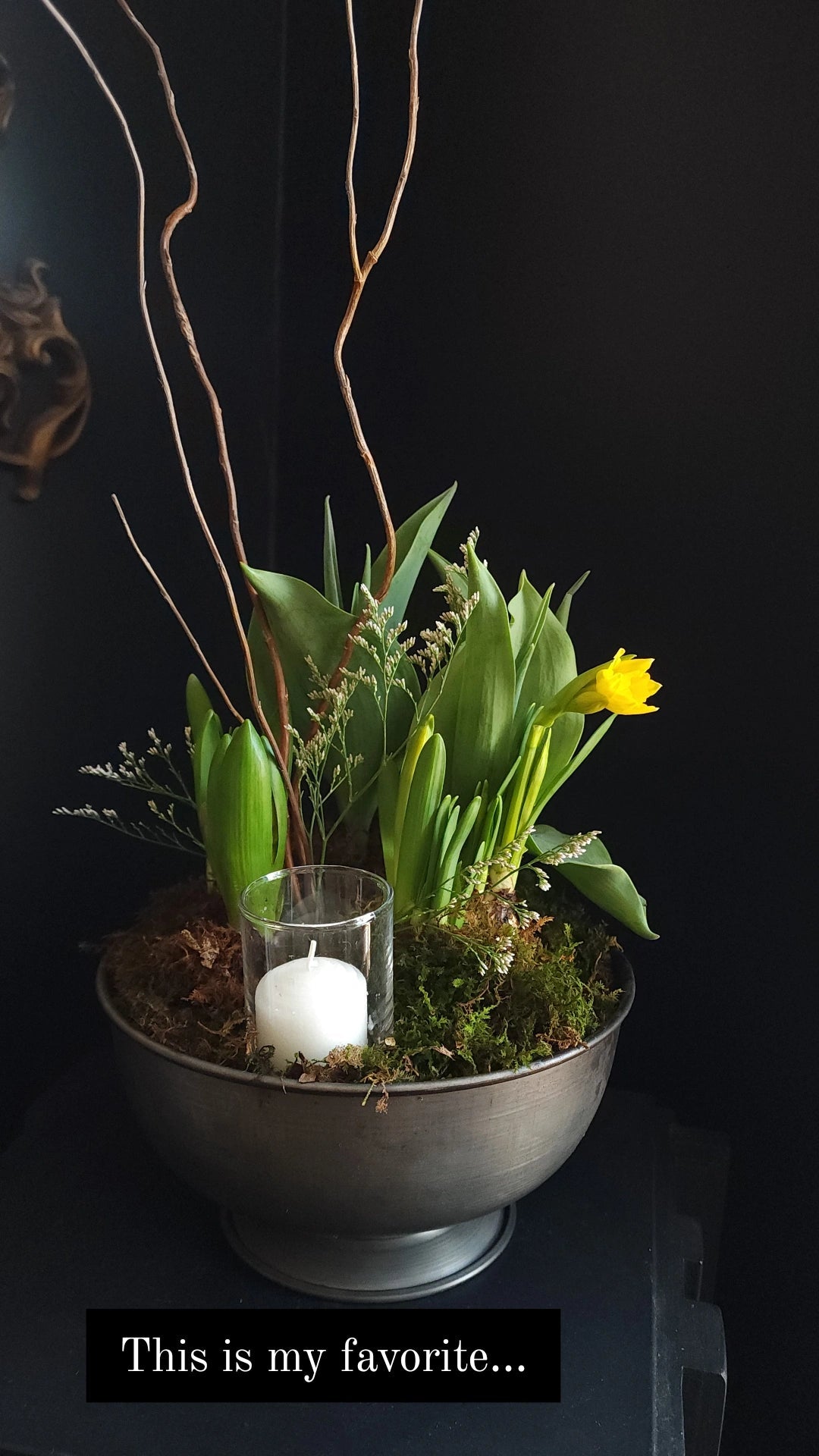 Spring Bulb Garden - Grow & Bloom Co.