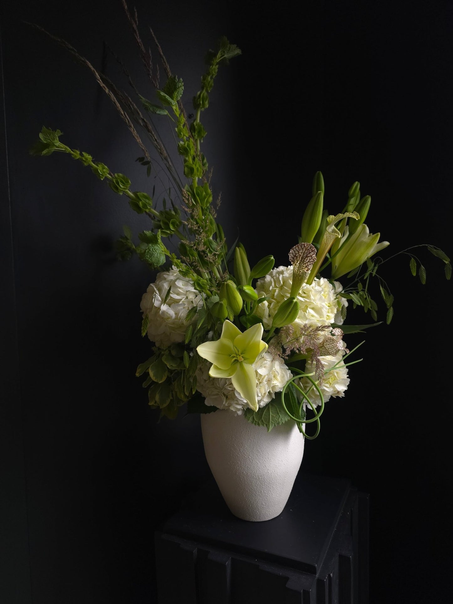 The Architect - Grow & Bloom Co.