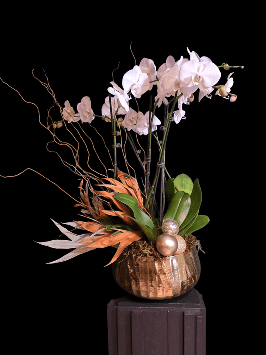 Winter Orchid Bowl - Grow & Bloom Co.