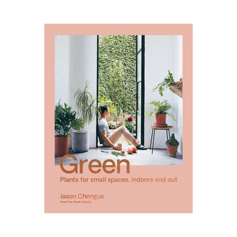 Green - Plants for Small Spaces, Indoors and Out - Grow & Bloom Co.