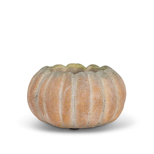 Small Cement Pumpkin Planter - 5.5" - Grow & Bloom Co.
