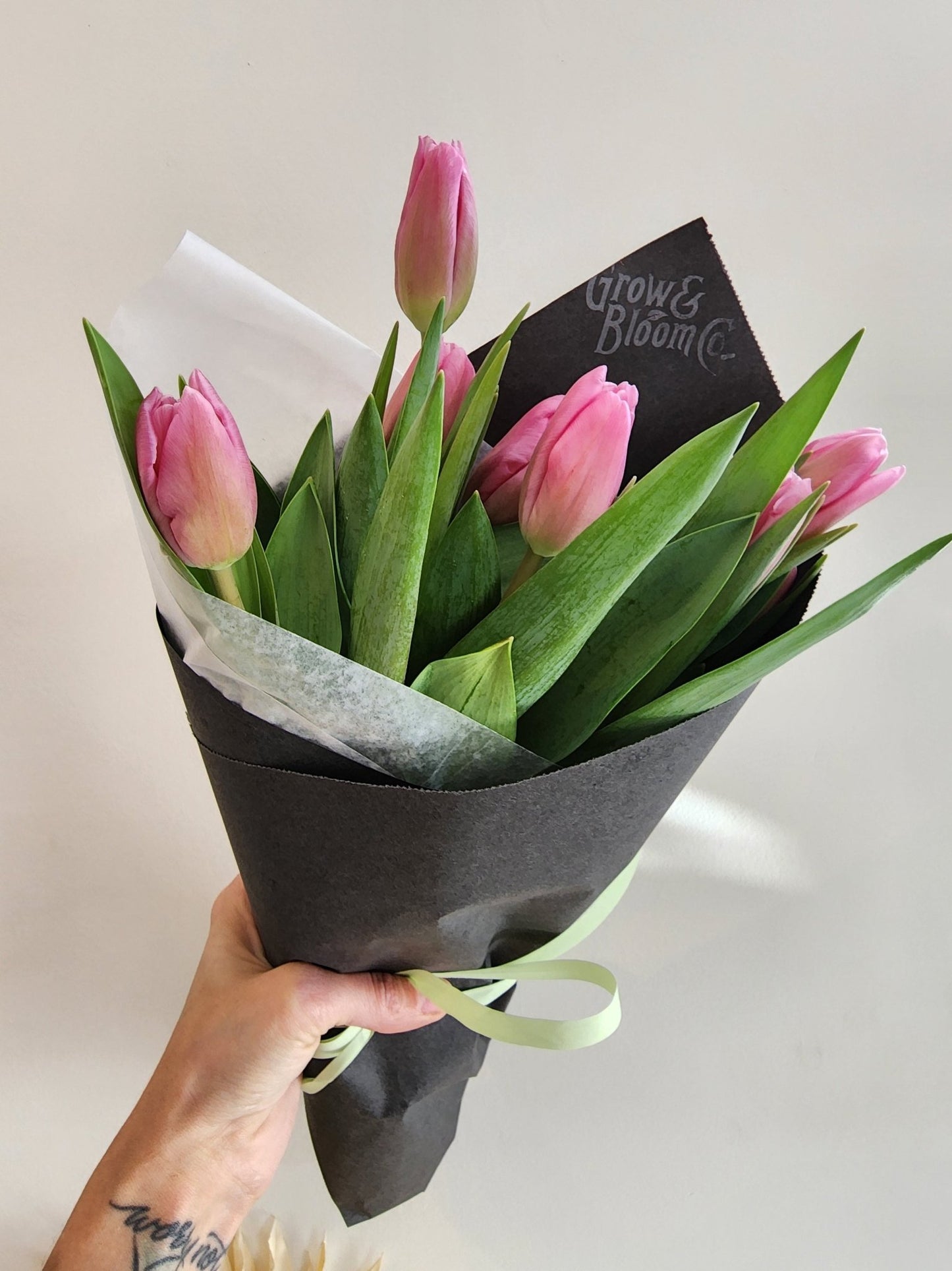 Tulip Bunch Assorted Colours - Grow & Bloom Co.