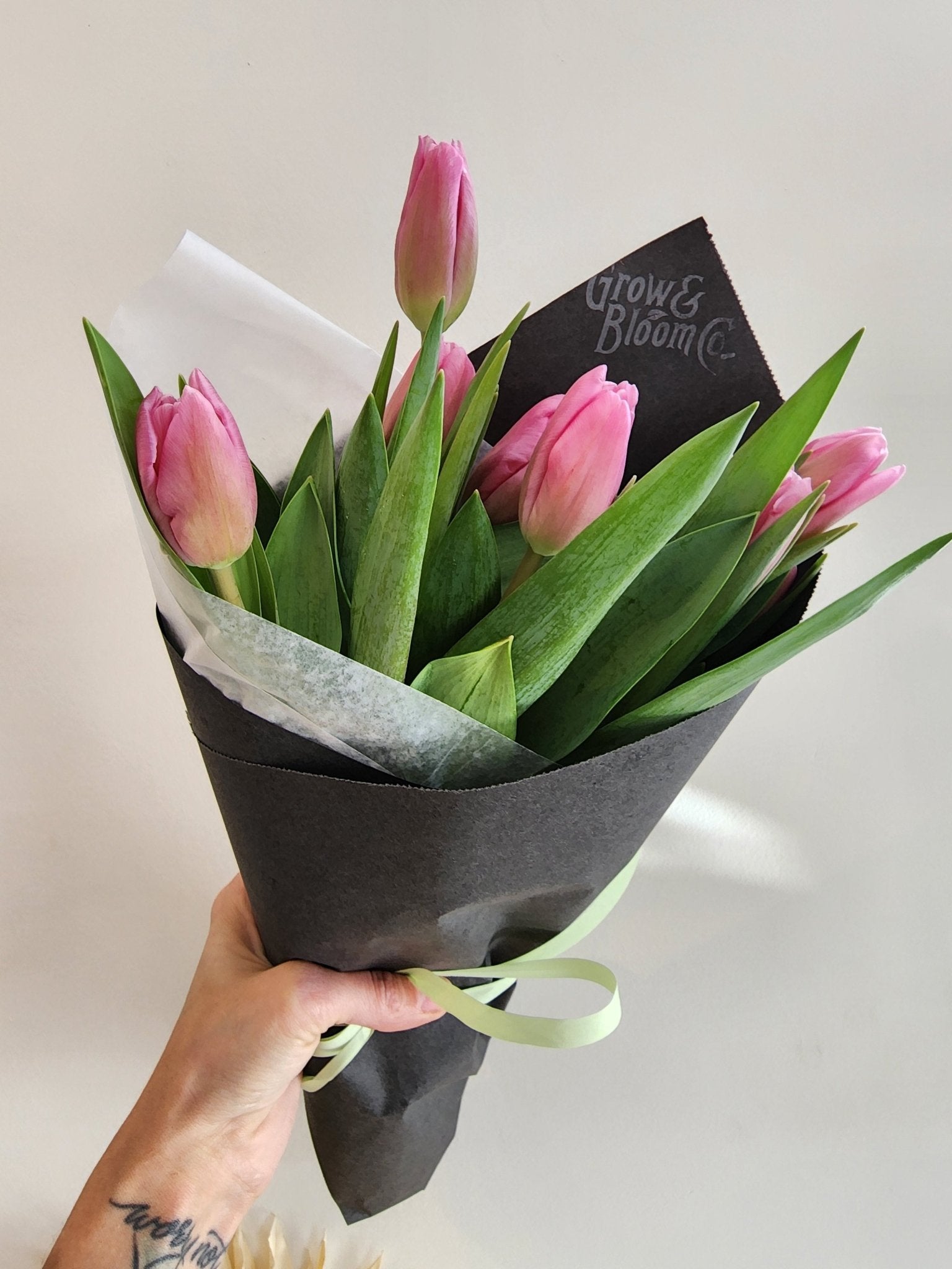 Tulip Bunch Assorted Colours - Grow & Bloom Co.