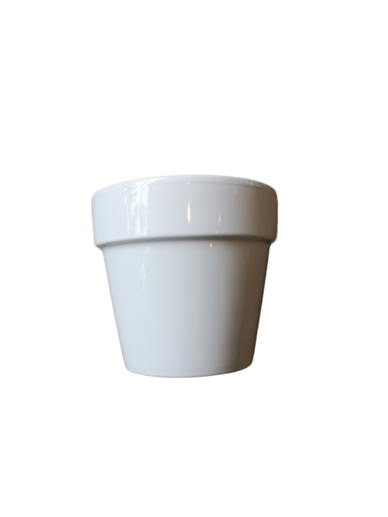 Malibu Pot - 6" x 6"