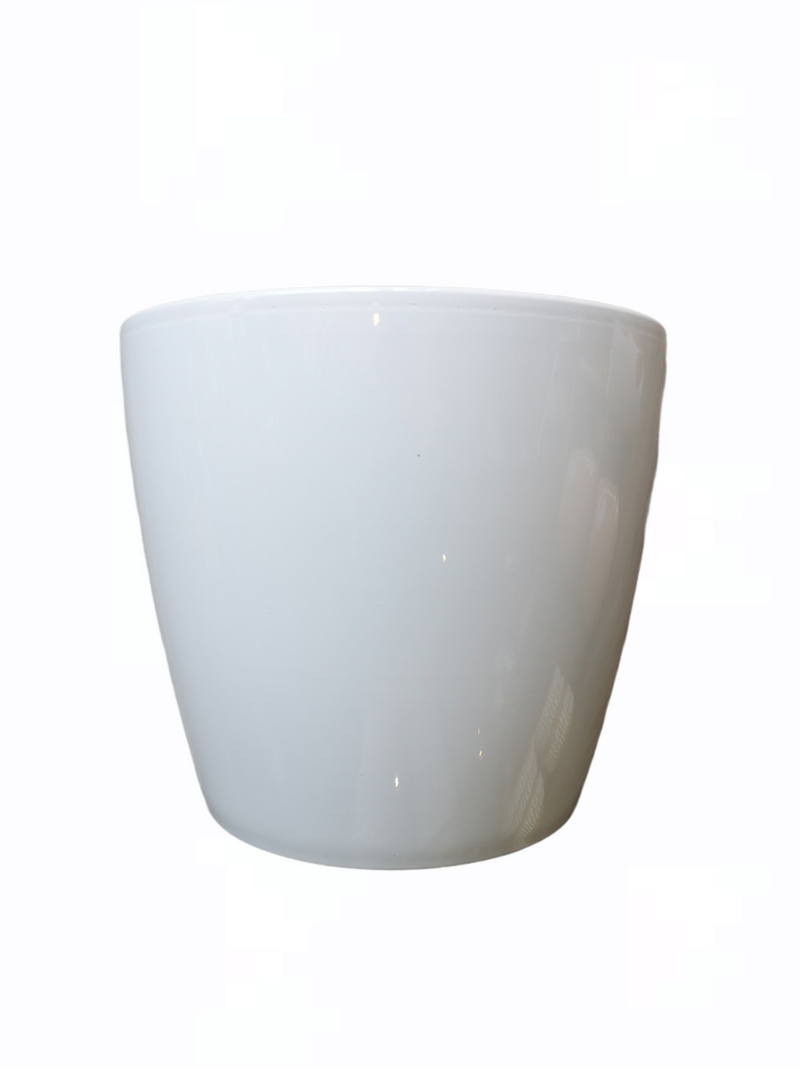 10" Marlow Pot